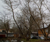 комната 100 кв м ул Шорина, 10